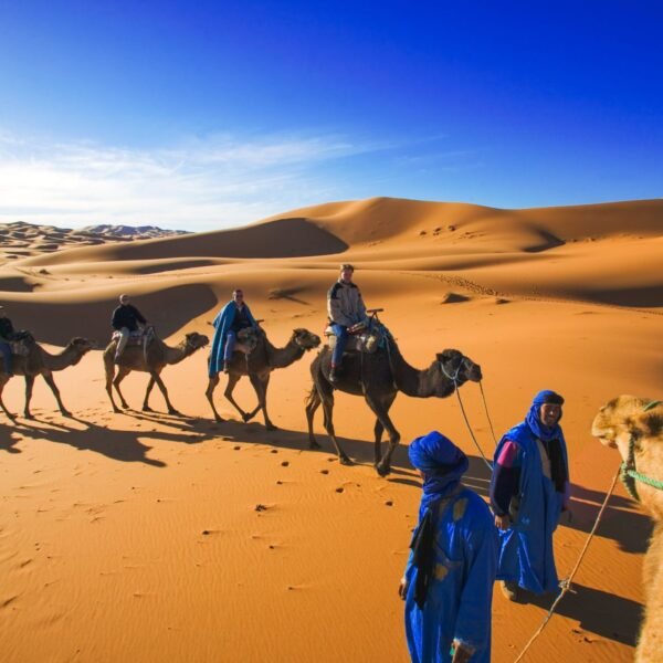 Caravana de camelos entre dunas do deserto de Merzouga, Marrocos.