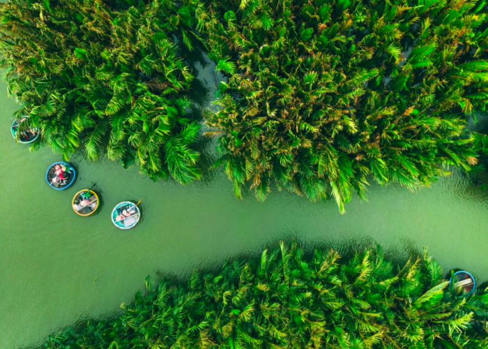 Barcos circulares entre palmeiras na floresta de coqueiros de Bay Mau, Vietnã.